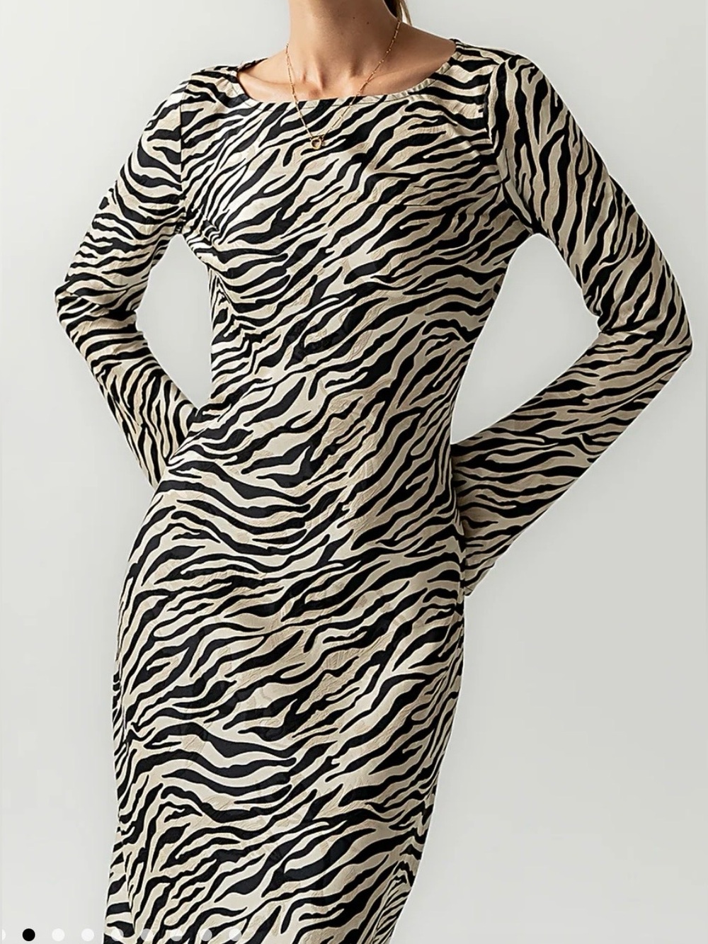 bohme Melody Zebra-Print Long Sleeve Maxi Dress - Black & Cream - Picture 3 of 10